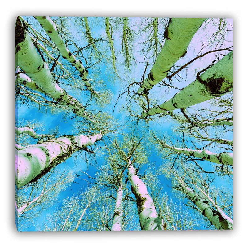 Toile tendue Pop Aspen Sky, H 30 po x l 30 po