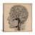 Toile tendue