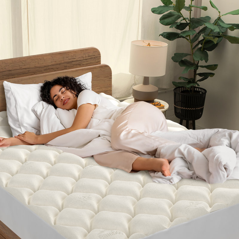 Protège-matelas ajusté en rayonne hypoallergénique Grindstaff, Double