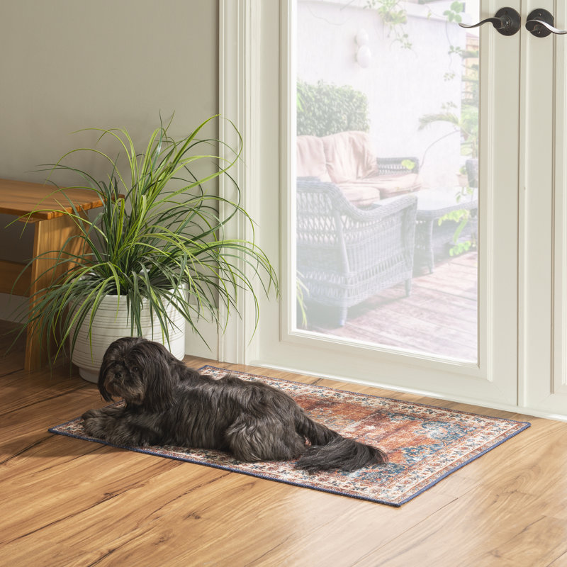 Chyanna Machine Washable Russet and Ivory Area Rug, Rectangle 2' x 3'
