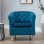 Tarbes Velvet Barrel Chair-1975111546