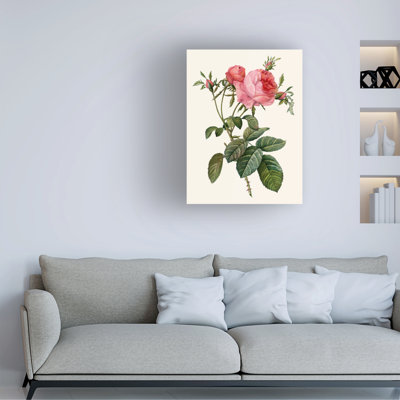 «Redoutes rose II» par Pierre Redoute - peinture sur toile tendue