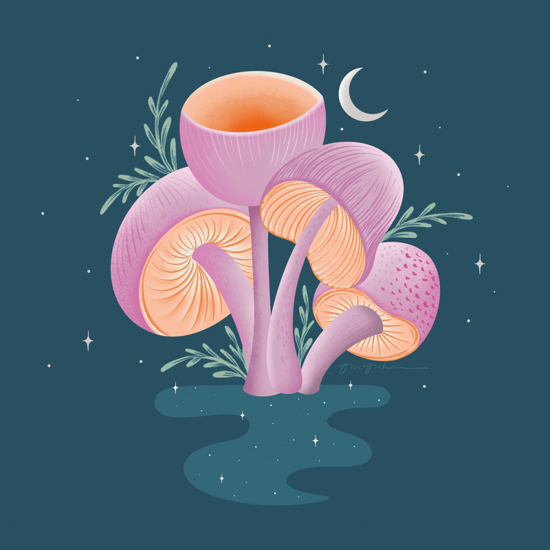 «Fantastic Fungi V» par Gia Graham - impression sur toile tendue, H 30 po x l 30 po