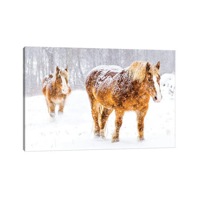 Belgian Deaux 1 Piece Wrapped Canvas Wall Art