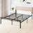 Israel Metal Standard Bed-1858172774