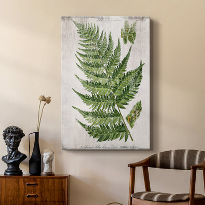 Greenhouse Fern II - galerie sur mesure