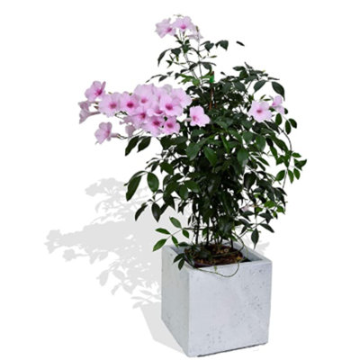 Millcreek Planter Box