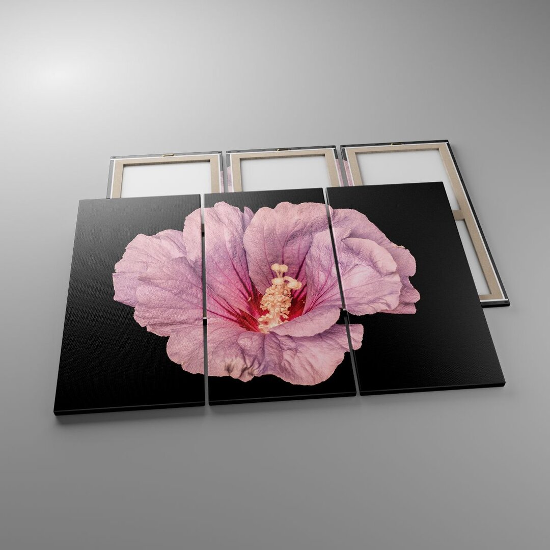 3-tlg. Leinwandbilder-Set Hibiscus Flower Pink