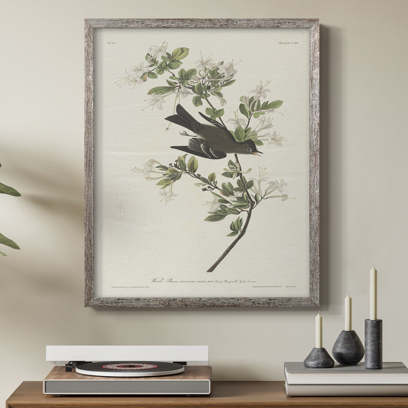 «Vintage Animal Print», impression encadrée en bois massif, H 11 po x l 9 po