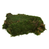 Mood Moss 5.5 Ball Faux – HOME DECORATIVE ACCENTS