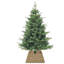 Seagrass Tree Collar