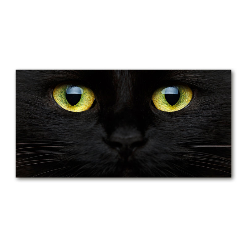Cat's Eyes - Wrapped Canvas Print