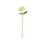 Tige de fleur artificielle Cole et Grey-855985875-855985876