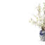 Leonie Cherry Blossom Toile Arrangement