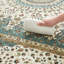 Allyne Area Rug-1895483854