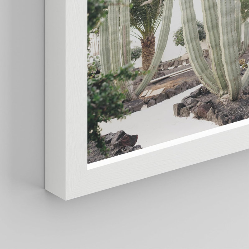«Western Cactus Desert Southwest Nature Wilderness Landscape», reproduction imprimée sur papier, 8 pièces, Blanc