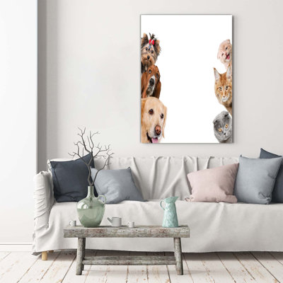 Dogs And Cats - Wrapped Canvas Print