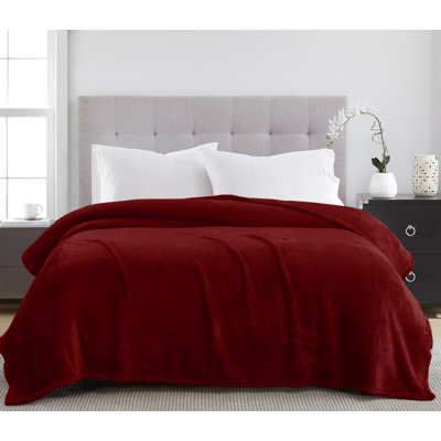 Vanessa Teddy Plush Blanket