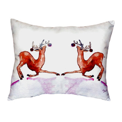 Outdoor Reversible Throw Pillow