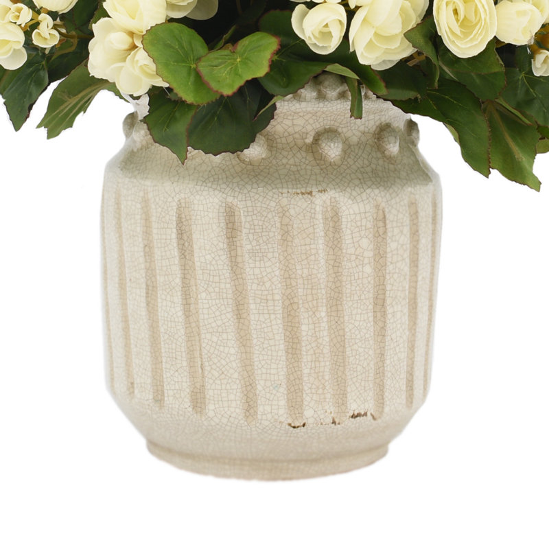 Arrangement de bégonia mélangé dans un pot, Blanc