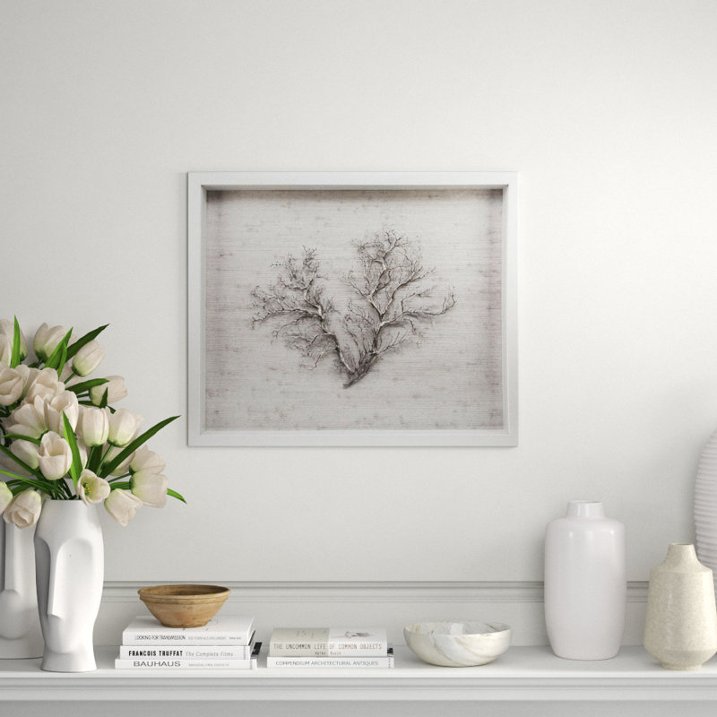 Sealife Print