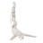 Solangel 6.5" Diver Resin Wall Decor-1747593438