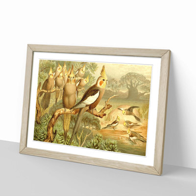 Brehms Tierleben - Single Picture Frame Painting