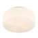 Edgemont 4-Light Ceiling Light