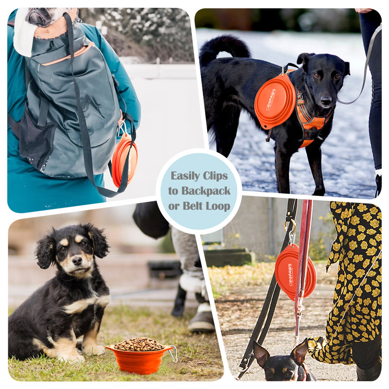 Bol pour animaux de compagnie antidérapant, Orange et gris