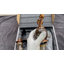 Robinet pour salle de bain New Mojo-40330515