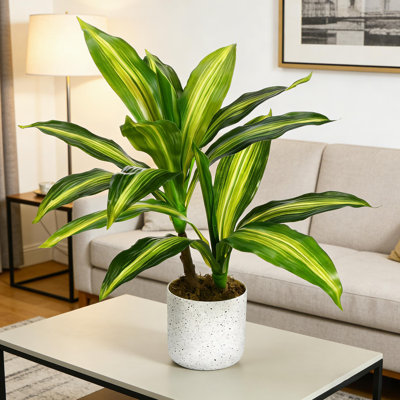 Petite plante d'agave réaliste pour comptoir
