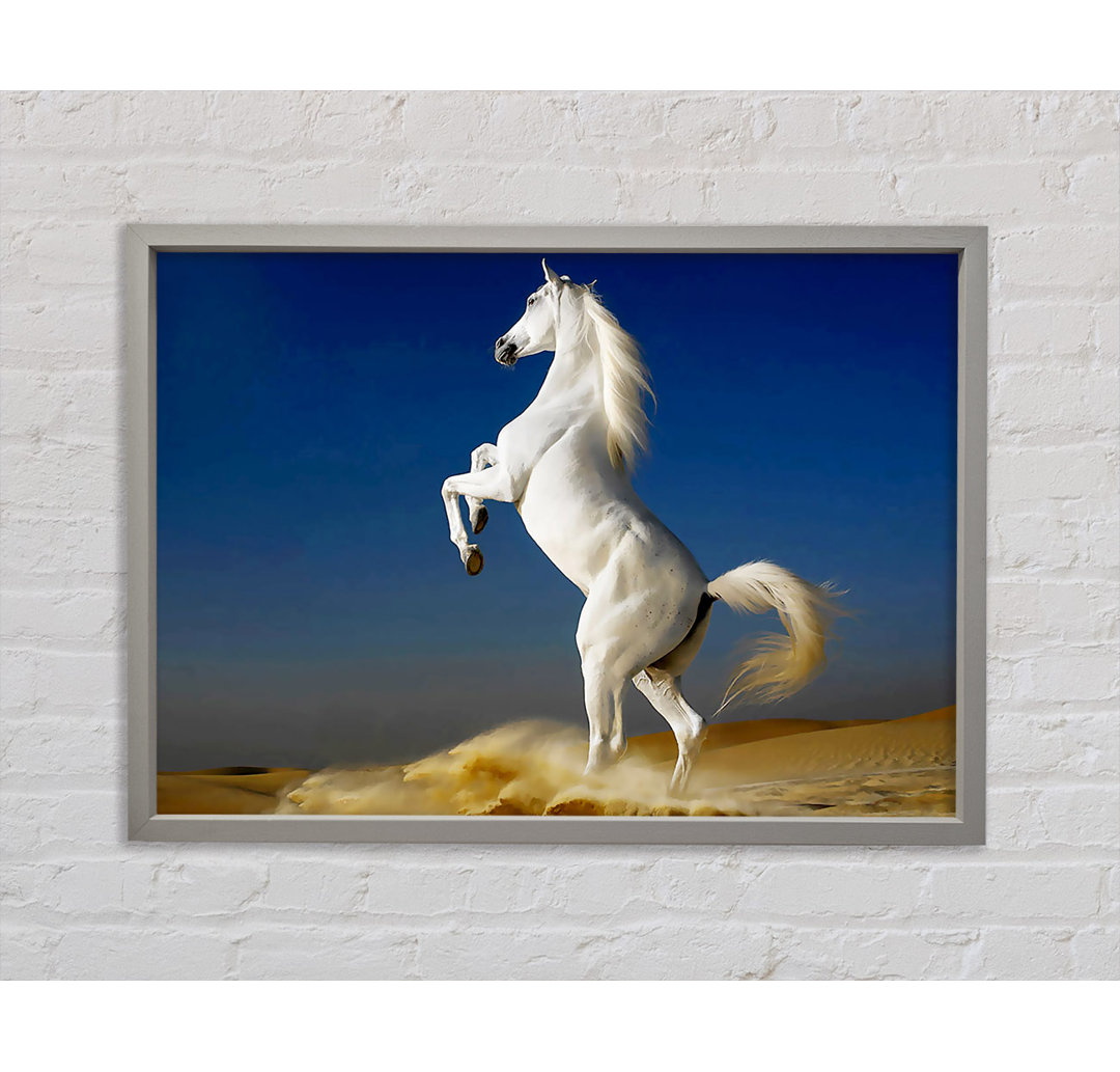 White Horse Stance - Einzelner Bilderrahmen Kunstdrucke auf Leinwand