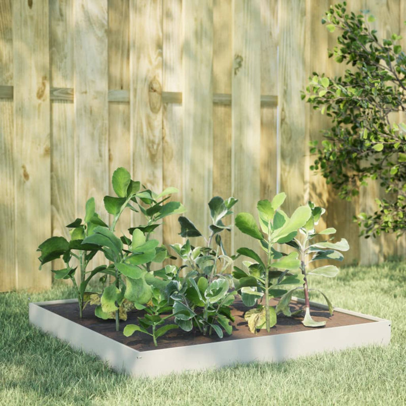 Caylub Metal Raised Garden Bed, 18.5cm H x 100cm W x 100cm D, White