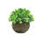 4.5" Artificial Mixed Greenery Topiary Small Plant in Pot