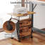 Classeur à 2 tiroirs, support d'imprimante à roulettes, table de chevet mobile avec plateau extensible, compatible avec les dossiers format lettre, idéal pour le bureau à domicile, la chambre et le salon, lot de 1 (brun rustique)