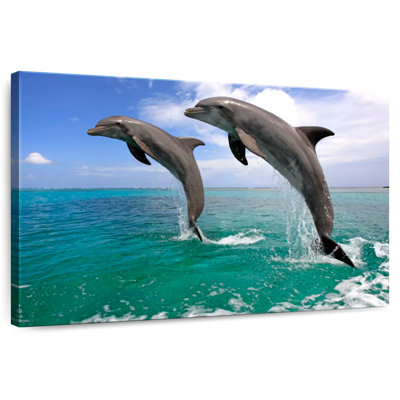 Two Jumping Dolphins
