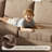 Jorlin 115.2" L-Shaped Corner Sectional Sofa With Pull-Out Bed 6 Seat Teddy Fabric Cloud Sectional Couches-408317807
