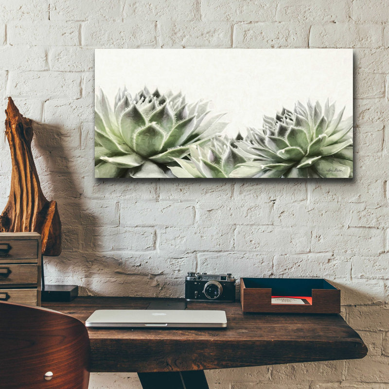 «Soft Succulents I» par Lori Deiter, art mural en verre acrylique, H 12 po x l 24 po x P 0,2 po