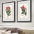Black Framed selected