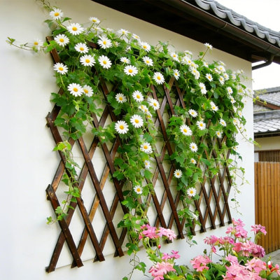 Expandable Garden Trellis, 38" x 89" Large Wooden Lattice Fence