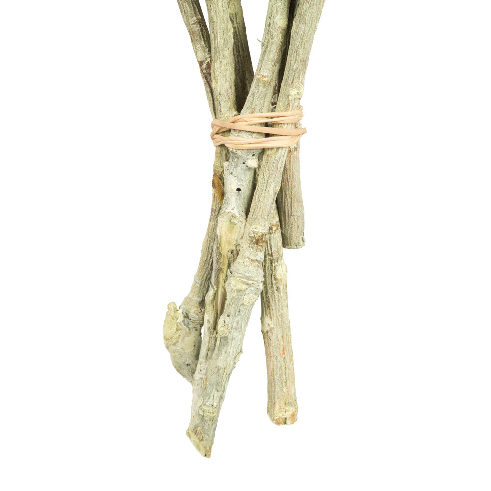 Dried Basil Rosette Stems