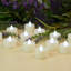 Blanc chaud-61952419
