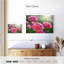 Harnek pivoines roses ensoleillées-108844671