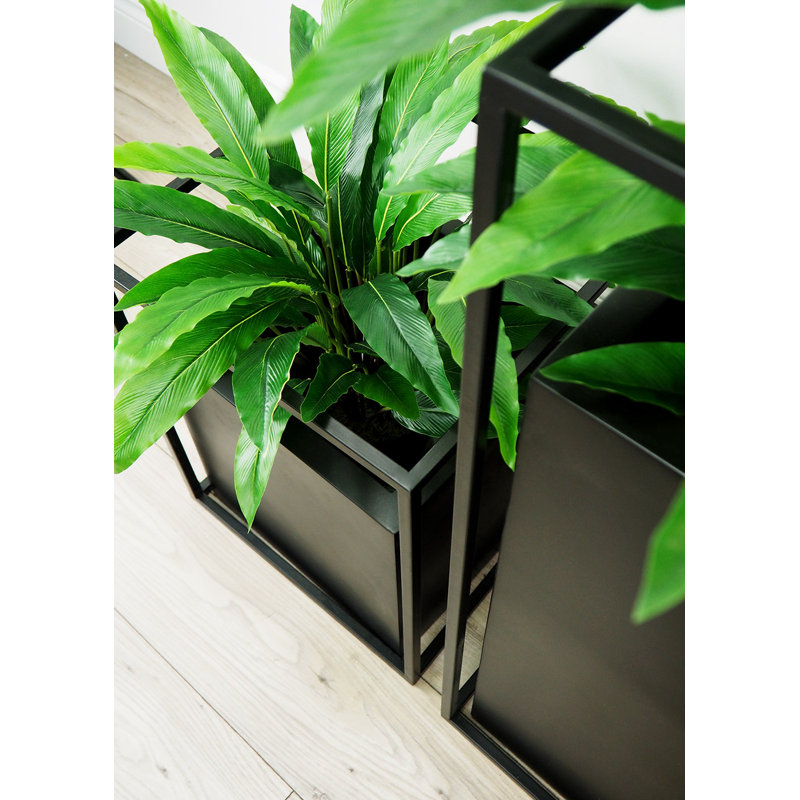 Faux calathea botanique au fini vert, H 22 po x l 23 po x P 23 po