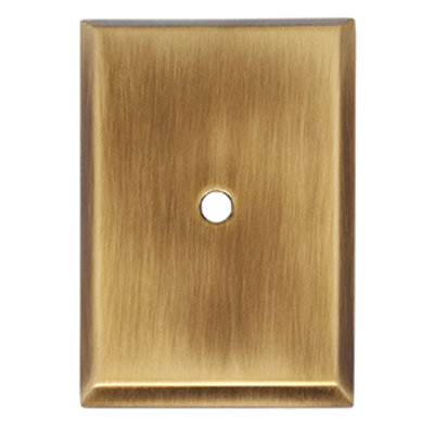 2.63" Back Plate