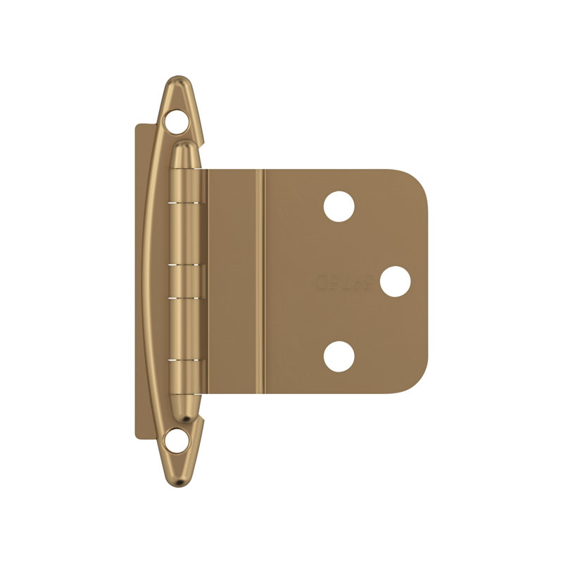 Face Mount Overlay Hinge, Champagne Bronze