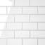Le Cafe 2" x 4" Mesh Mount Glossy Porcelain Mosaic Tile-1701158054