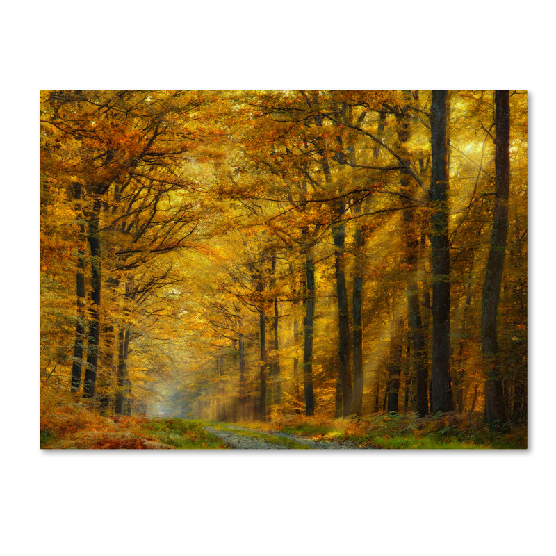 « enchanted forest », reproduction de photo sur toile tendue, H 14 po x l 19 po