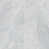 Carrara White