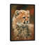 « guépard cub », impression sur toile-33109200-72397244-72397245